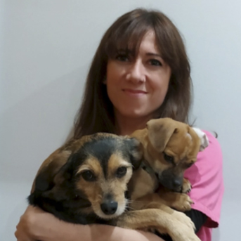 Hospital Veterinario H.A